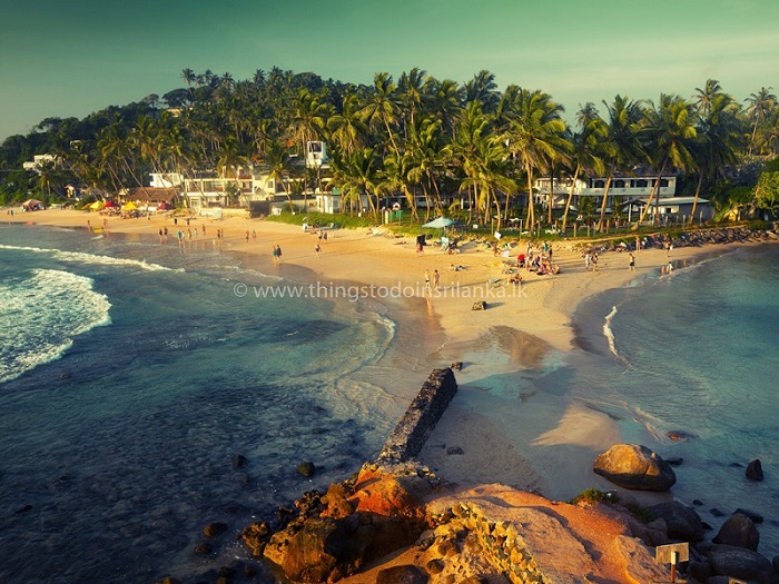 Coconut Tree Hill Mirissa Things to Do in Sri Lanka