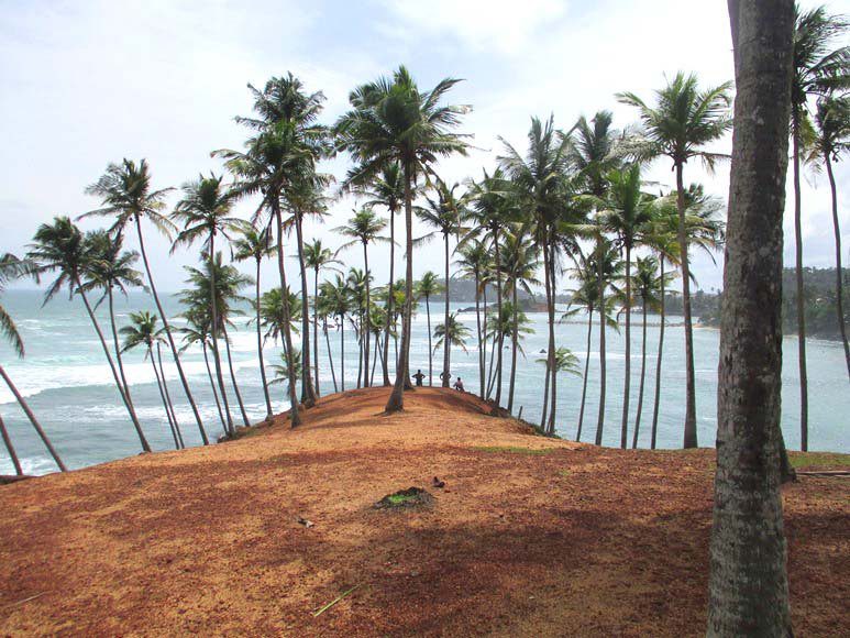 Coconut Tree Hill Mirissa