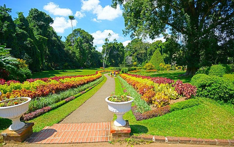 Royal Botanical Gardens (Peradeniya)