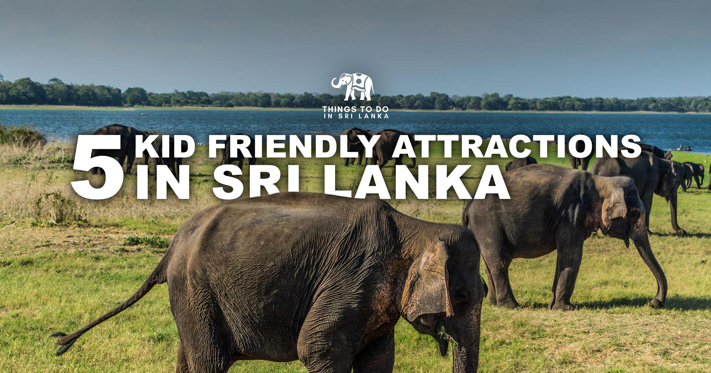 5 Kid Friendly Attractions In Sri Lanka