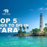 Top 5 things to do in Matara