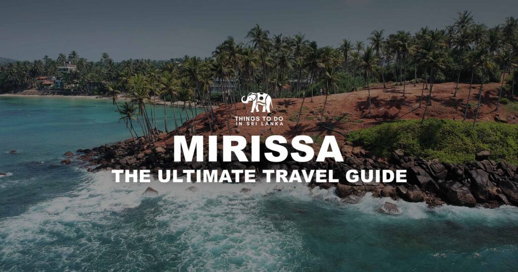 Mirissa The Ultimate Travel Guide