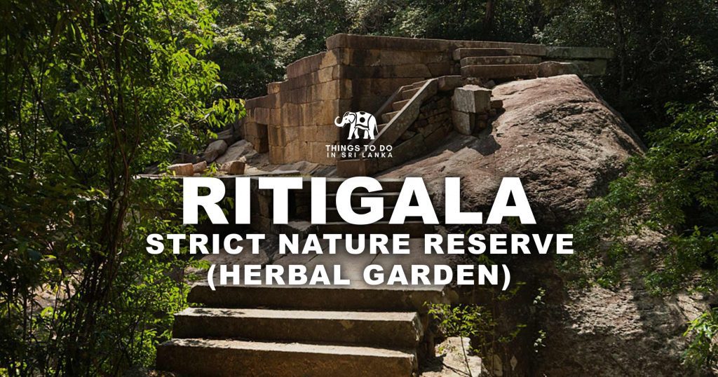 Ritigala Strict Nature Reserve Herbal Garden