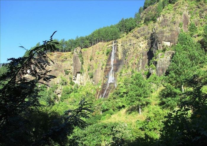 The Tallest – Bambarakanda Falls
