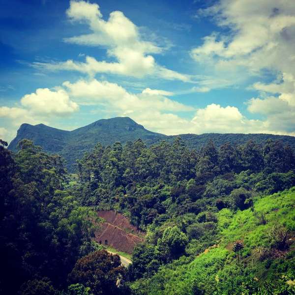 Hakgala Mountain Nuwara Eliya