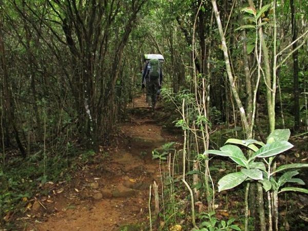 Thick Mountain Forests Sri Lanka 1