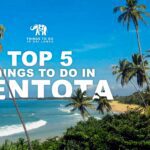 Top 5 things to do in Bentota
