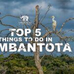 Top 5 things to do in Hambantota