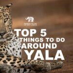 Top 5 things to do Around Yala
