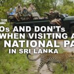 Dos and Don’ts When Visiting a National Park in Sri Lanka