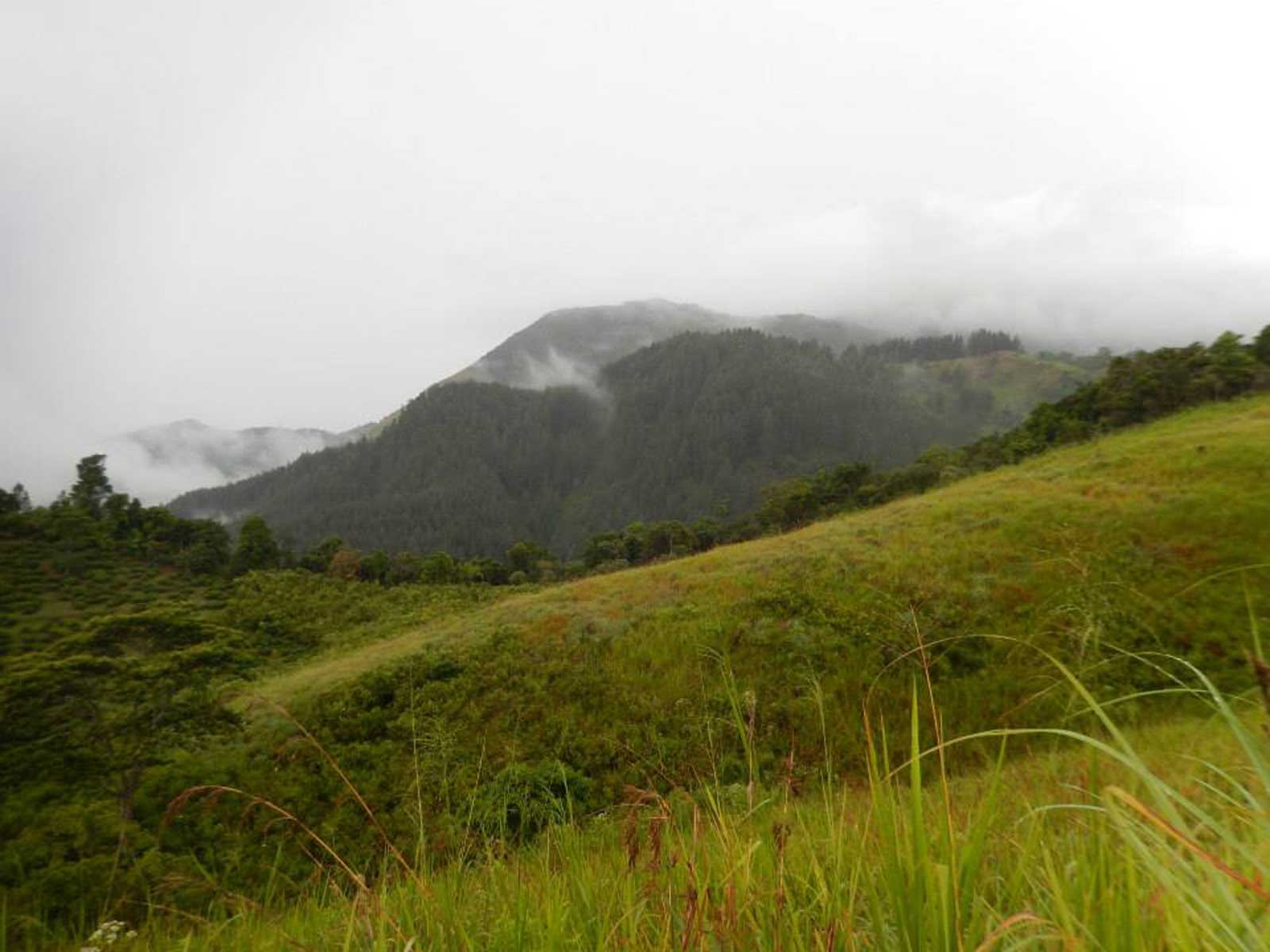 Hunnasgiriya Mountain