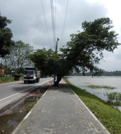Lake Round Kurunegala