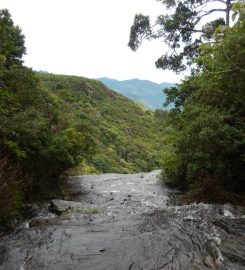 Hunnasgiriya Mountain