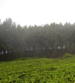Hunnasgiriya Mountain