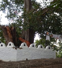 Ridi Viharaya