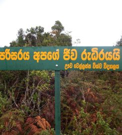 Namunukula Mountain Range