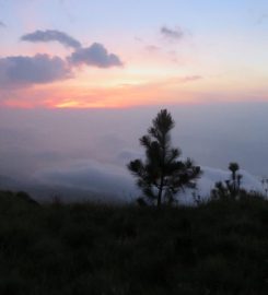 Adara Kanda | Paraviyangala