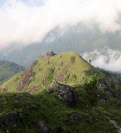 Adara Kanda | Paraviyangala
