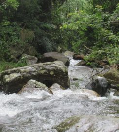 Surathali Falls