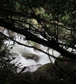 Surathali Falls