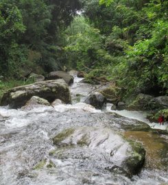 Surathali Falls