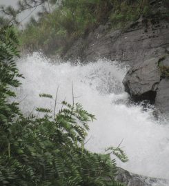 Surathali Falls