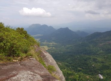 Brandy Rock – Brandygala