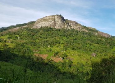 Brandy Rock – Brandygala