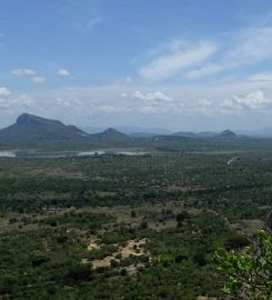 Dhanigala / Kandegama