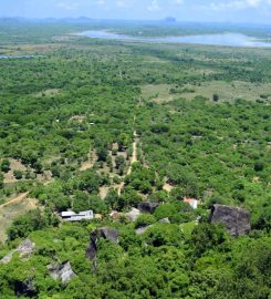 Dhanigala / Kandegama