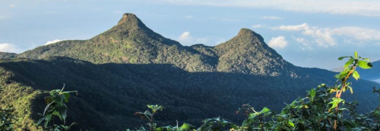 Bana Samanala Mountain