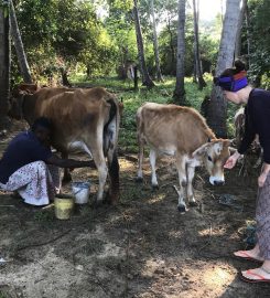 Duara village experience Alagollewa
