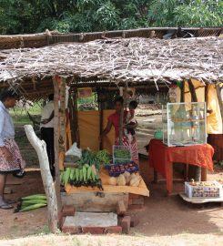 Duara village experience Alagollewa