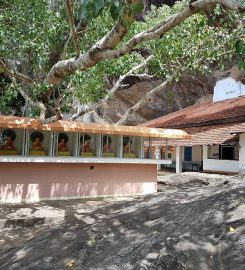 Nathagane Aranniya Senasanaya