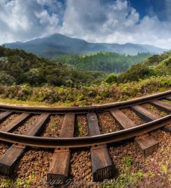 Pattipola railway summit