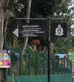 Pahiyangala Cave