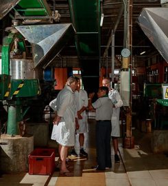 Halpewatte Tea Factory
