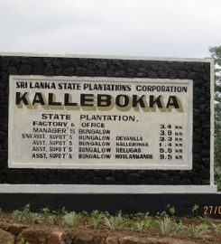 Kallebokka 360 Viewpoint