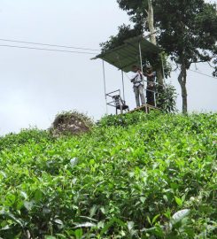 Sembuwatta Lake